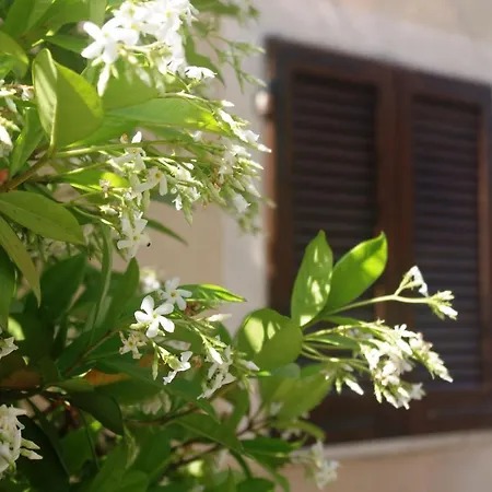 Apartment Casetta Arco *